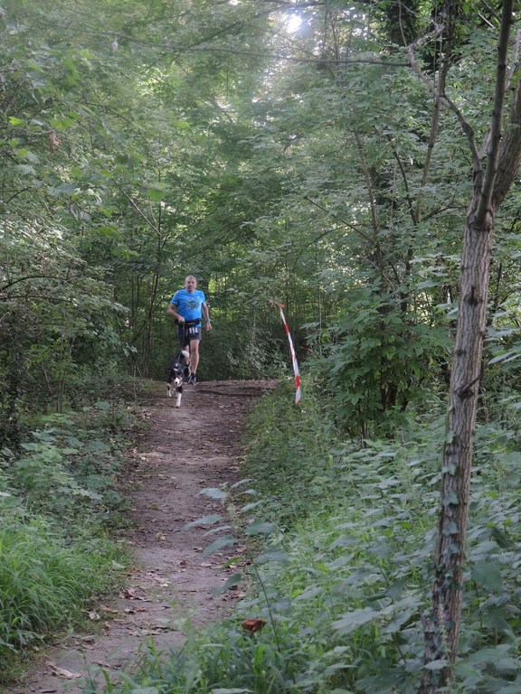 sur les hauteurs du bois de boulogne