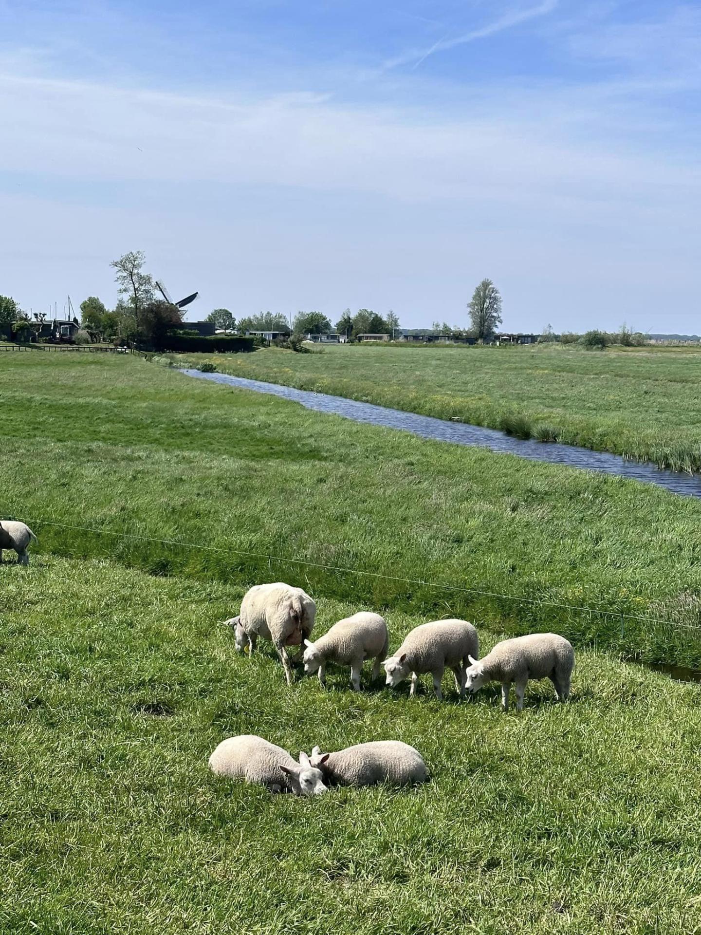 436316668 8155250447837516 5907475705124389452 n