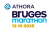 Brugesmarathon logo 2025 schaduw