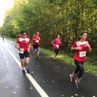 En bordure de forêt