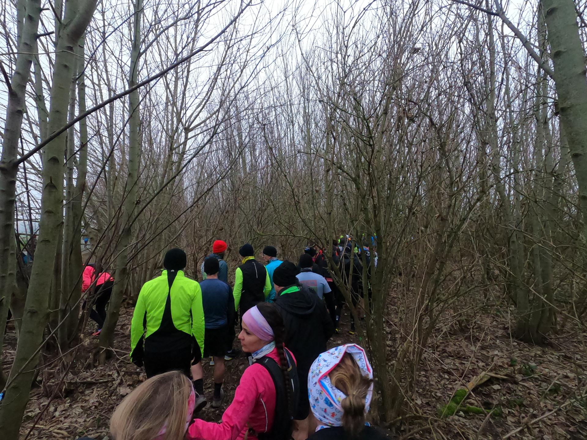 Gopr7485 alta1885109077822635024