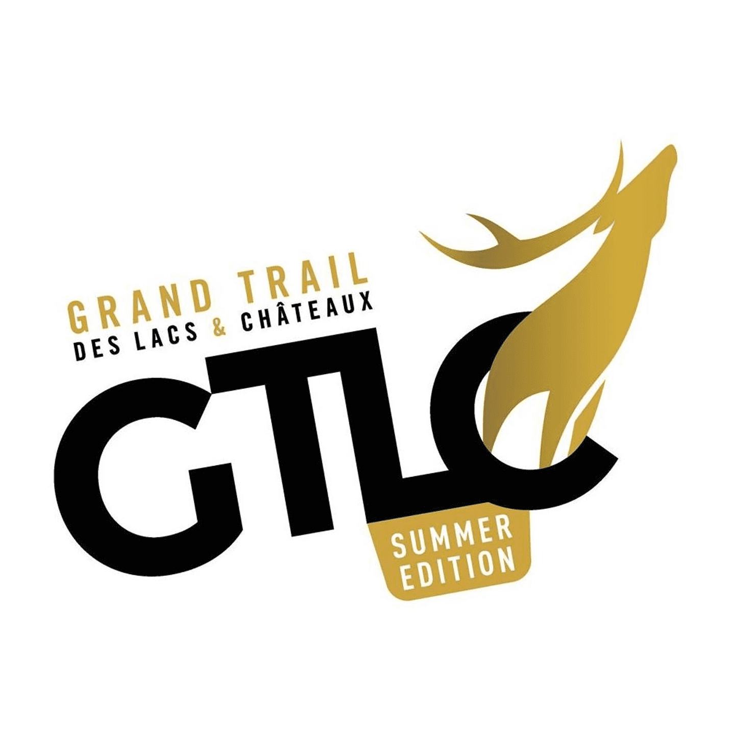 Logo gtlc summer