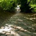 Mont saint aubert